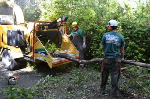 tree services Greentown